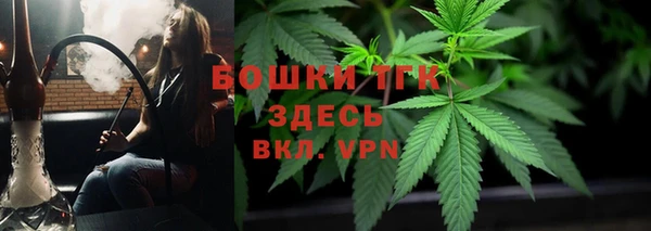 гидра Алагир