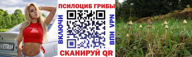 Псилоцибиновые грибы MAGIC MUSHROOMS  Сегежа 